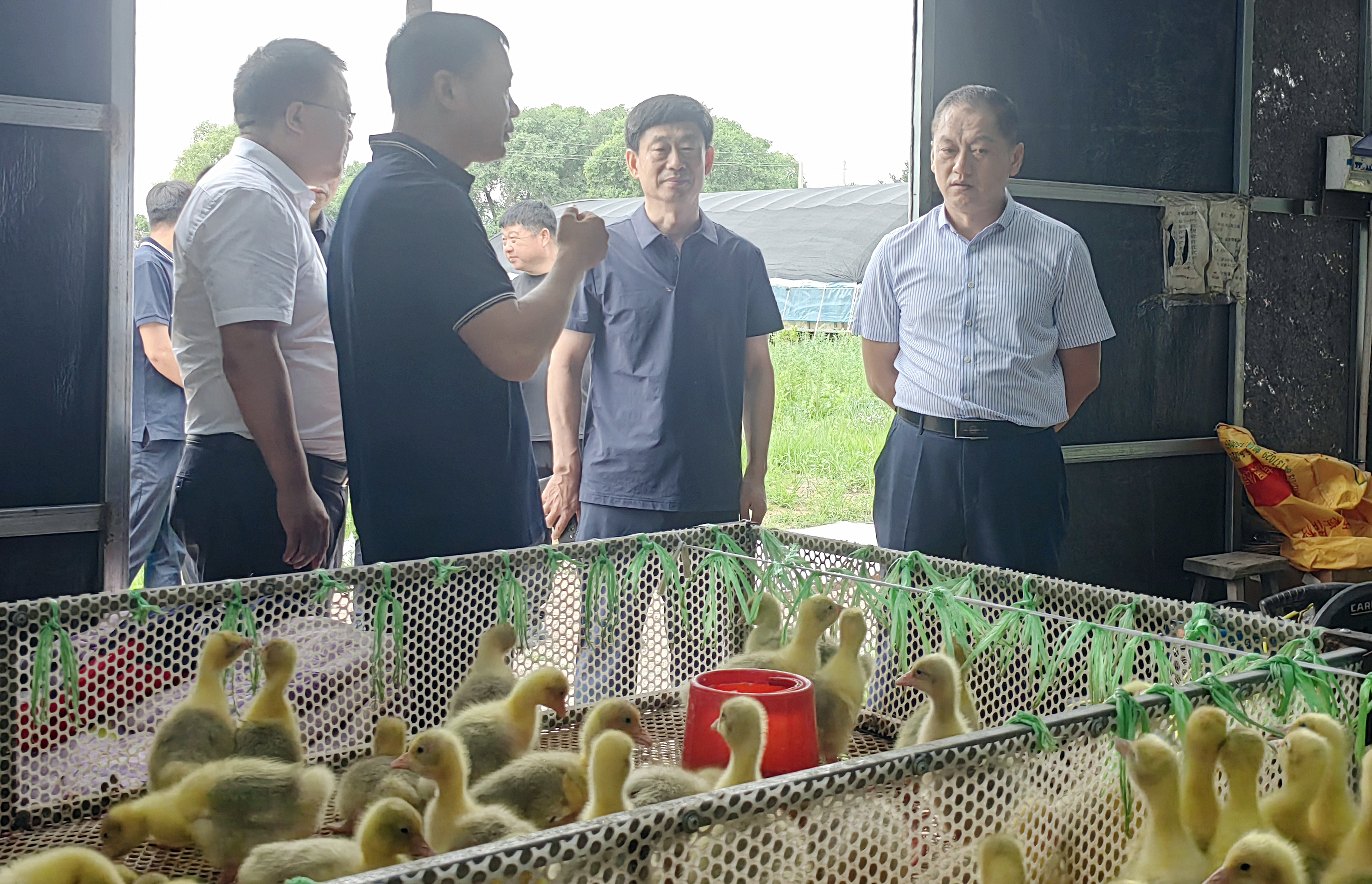 5001拉斯维加斯(中国游)有限公司-BinG百科